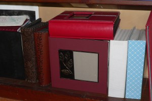 my photo shelf after the purge.