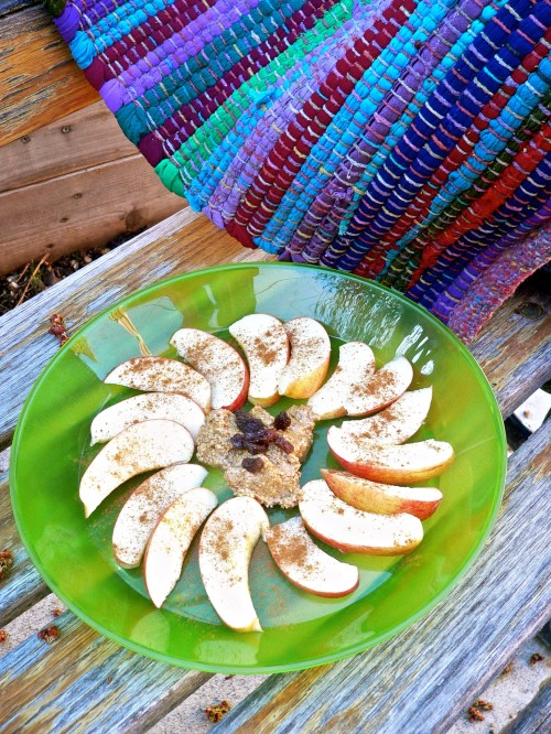Apple Flowers make for a healthy, fun snack that my kids love