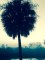fullsizeoutput_bf22