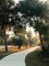 fullsizeoutput_bf29
